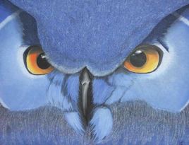 les yieux de la nuit