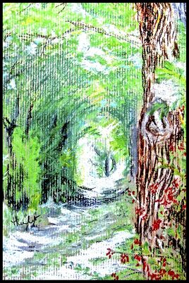 Tunnel v&eacute;g&eacute;tal / Drawing :  a forested tunnel