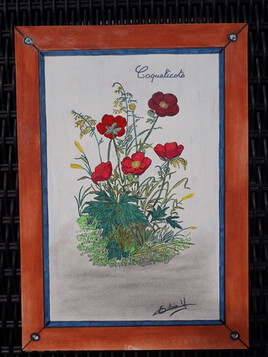 Coquelicots