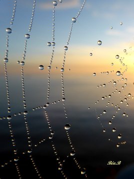 Toile au lever du soleil