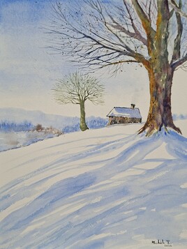 Paysage hivernal