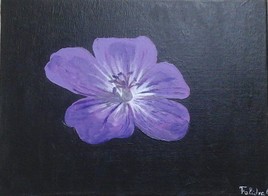 Violette du soir