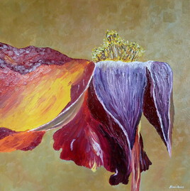 Eph&eacute;m&egrave;re