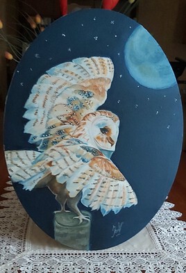 "Chouette" ce clair de lune !!!