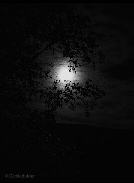 Pleine lune