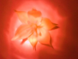 Je taime, moi mon plus