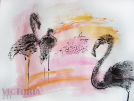 Les flamants