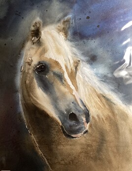 CANASSON&hellip;VENDUE.