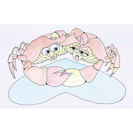 Crabes amoureux