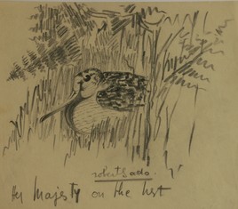 Her Majesty on the nest