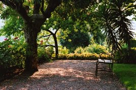 Banc qui se prélasse