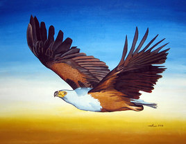 L'aigle p&eacute;cheur africain