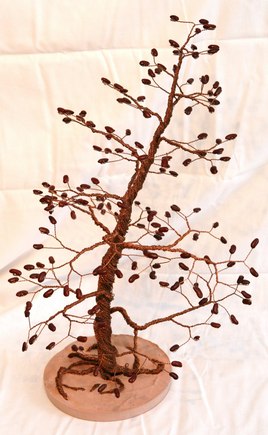 Chiliconcuivr&eacute;