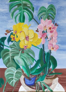 Phylorchid&eacute;es