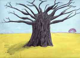 Arbre Baobab