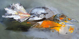 Ceci n'est pas un oiseau