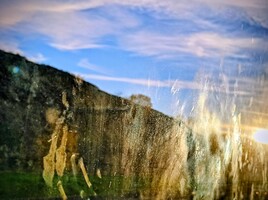 Florilège de fantômes.