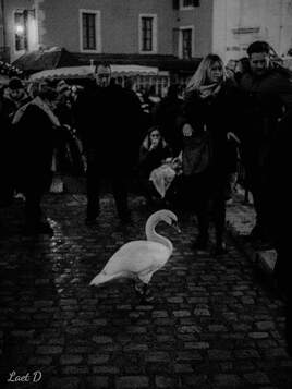 Seul au milieu de la foule