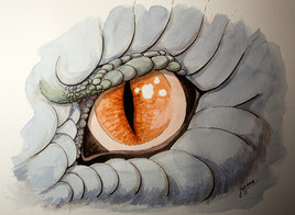Oeil de Dragon