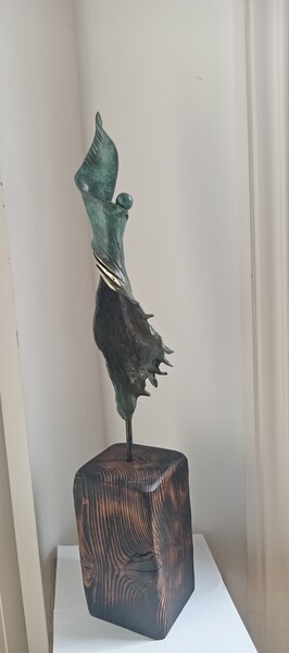 Les &Eacute;chos du Climat