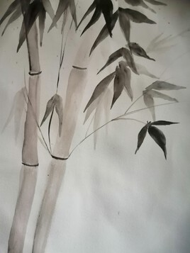 Bambous dans la brume
