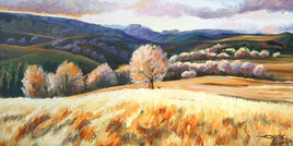 plateau ard&eacute;chois