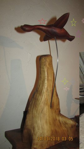 vol au dessus de l'himalaya