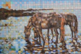 Camargue horses  oil by Claude Dubois (Abacule Movement)