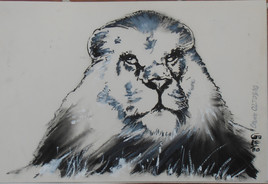 GOLETTO : étude Lion pour huile/toile en cours