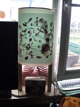 Farandole v&eacute;g&eacute;tale