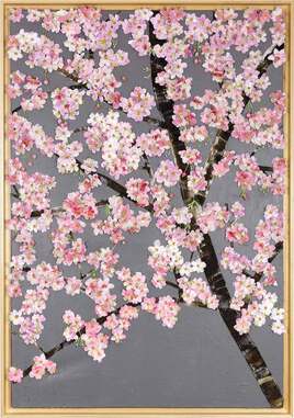 Sakura cerisier en fleurs