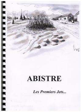 Buisson ardent...Feutre et lavis...