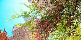 Un printemps &agrave; New York 16