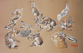 brochette de lièvres