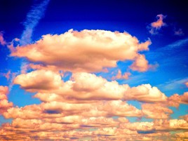 Coton ros&eacute; 2012