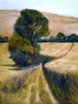 paysage lauragais