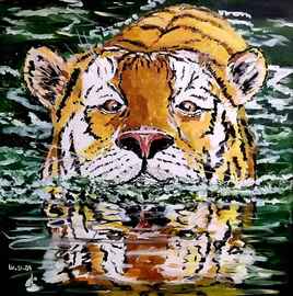 Le tigre nageant