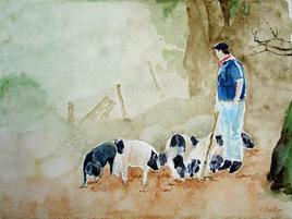 Cochons sous surveilleillance