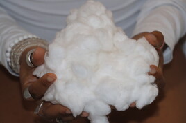 Larmes de coton (detail)