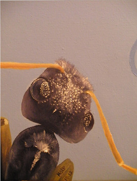 D&eacute;tail 2 Rando n&deg;2-2012