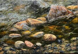 Etude: pierres dans un ruisseau