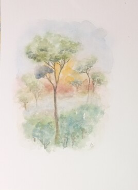 Lumi&egrave;re du soir