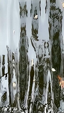 LES CHEMIN&Eacute;ES  DES F&Eacute;ES....