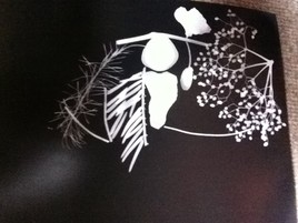 l'homme au grande dent