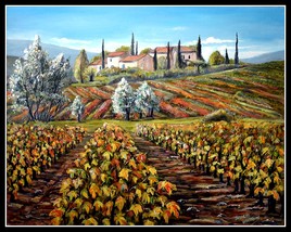 Village dans les vignes