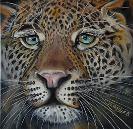 Inspiration "f&eacute;line"