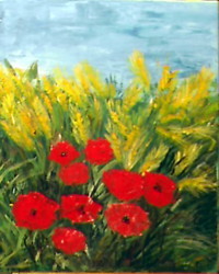 les coquelicots dans les champs