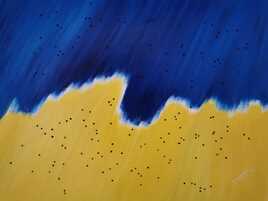 Envol&eacute;e bleue 2