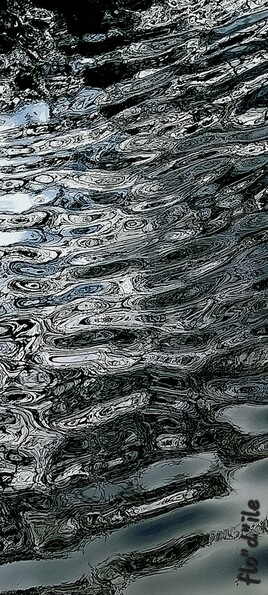 LIBERT&Eacute;...SANS CONT&Eacute;