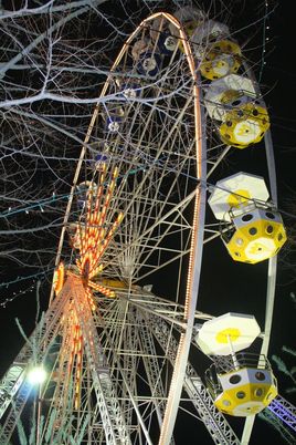 Grande roue un soir avant No&euml;l